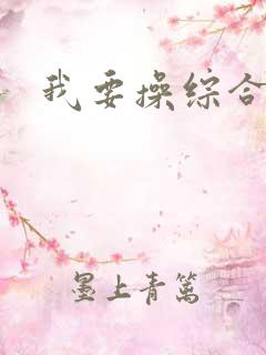 我要操综合