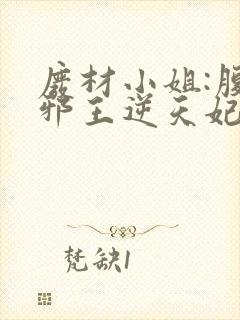 废材小姐:腹黑邪王逆天妃 叶轻轻 废材小姐:腹黑邪王逆天妃 叶轻轻