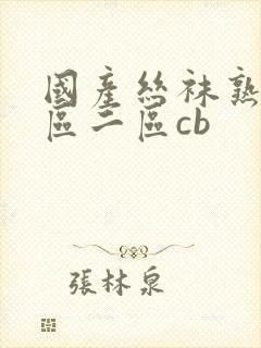国产丝袜熟女一区二区cb