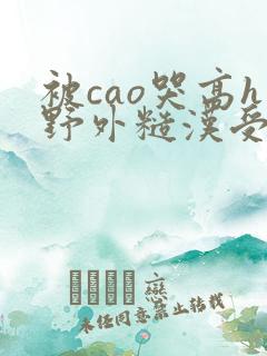被cao哭高h野外糙汉受