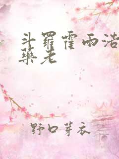 斗罗霍雨浩拜师药老