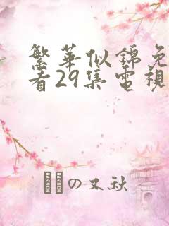 繁华似锦免费观看29集电视剧