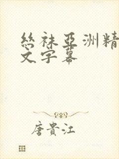 丝袜亚洲精品中文字幕