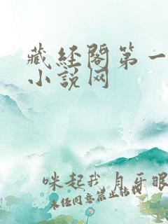 藏经阁第一版主小说网