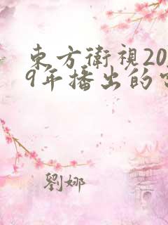 东方卫视2009年播出的电视剧