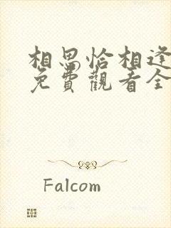 相思恰相逢短剧免费观看全集