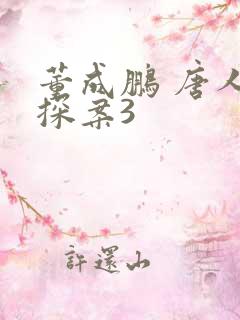 董成鹏 唐人街探案3