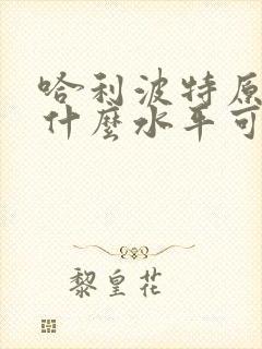 哈利波特原版书什么水平可以读
