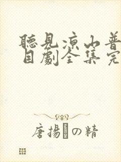 听见凉山普法栏目剧全集完整版