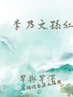 李乃文孙红雷