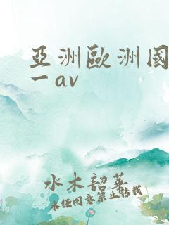 亚洲欧洲国产第一av