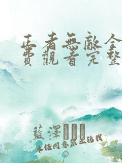 正者无敌全集免费观看完整版
