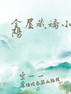 金屋藏娇小说宋阳