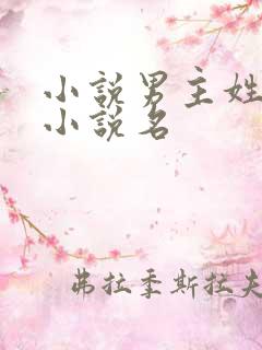 小说男主姓黑的小说名