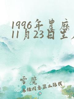 1996年农历11月23日生辰八字 1996年农历11月23日生辰八字