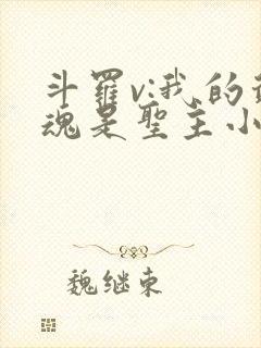 斗罗v:我的武魂是圣主小说