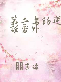 第二名的逆袭小说番外