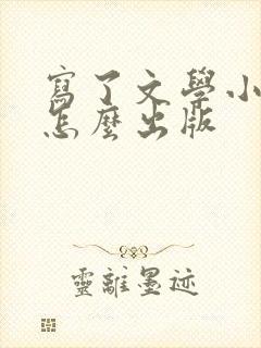 写了文学小说后怎么出版