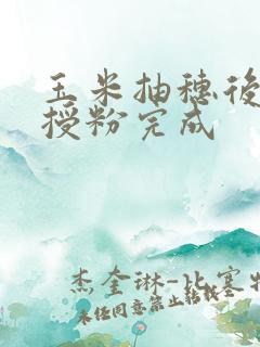 玉米抽穗后几天授粉完成 玉米抽穗后几天授粉完成