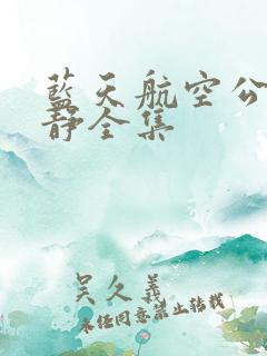 蓝天航空公司王静全集