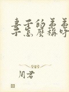 妻子的弟弟的儿子怎么称呼