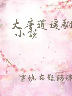 大唐逍遥驸马爷 小说