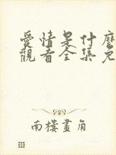 爱情是什么在线观看全集免费播放