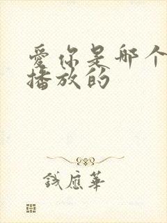 爱你是哪个平台播放的