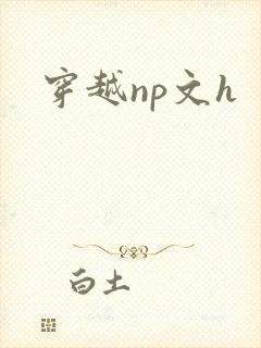 穿越np文h