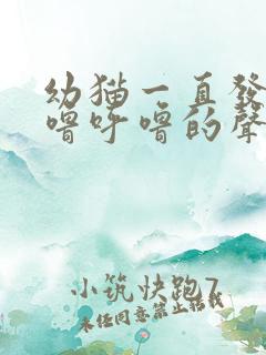 幼猫一直发出呼噜呼噜的声音