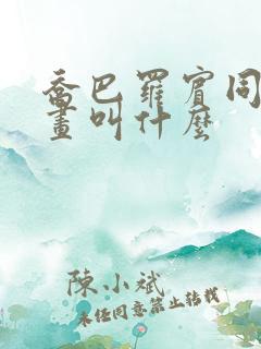 乔巴罗宾同人漫画叫什么