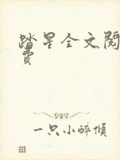 踏星全文阅读免费