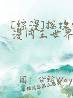 [综漫]总攻综漫网王世界