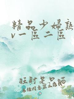 精品少妇熟女av一区二区