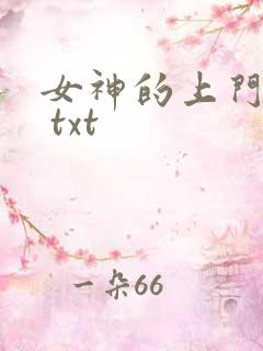 女神的上门豪婿 txt