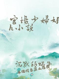 官场少妇好舒服h小说
