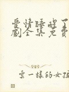 爱情睡醒了电视剧全集免费观看