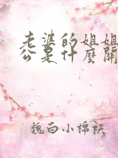 老婆的姐姐的老公是什么关系