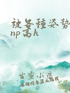 被各种姿势玩弄np高h