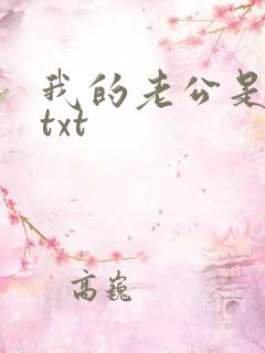 我的老公是冥王txt