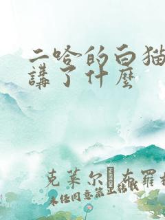 二哈的白猫师尊讲了什么