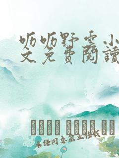 呖呖野云小说全文免费阅读最新章节