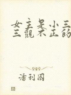 女主是小三上位三观不正的小说