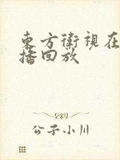 东方卫视在线直播回放