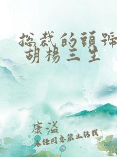 总裁的头号佳妻 胡杨三生