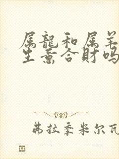 属龙和属羊的做生意合财吗