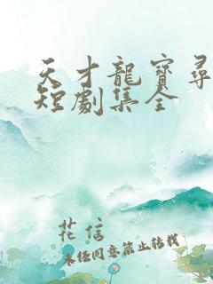 天才龙宝寻亲记短剧集全