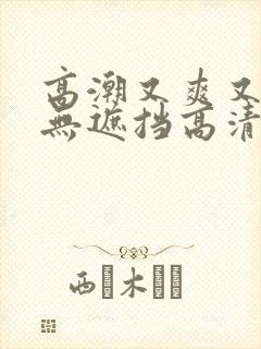 高潮又爽又黄又无遮挡高清