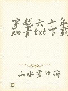 穿越六十年代小知青txt下载