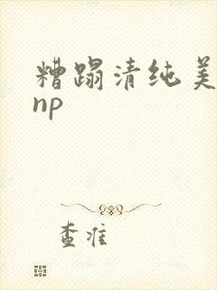 糟蹋清纯美人受np